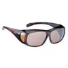 Alpina OVERVIEW Unisex Schutzbrille HAVANNA