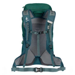 Deuter AC LITE 24 Tagesrucksack ALPINEGREEN-ARCTIC -Frilufts Outdoor Deutschland Verkaufs-Shop 5637974355 c ac lite 24 deuter 24