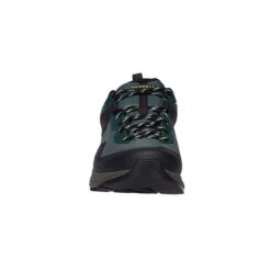 Merrell MQM 3 GTX Herren Trailrunningschuhe PINE GREEN -Frilufts Outdoor Deutschland Verkaufs-Shop 5638081528 d mqm 3 gtx merrell 24